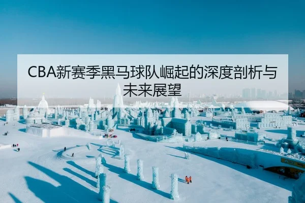 CBA新赛季黑马球队崛起的深度剖析与未来展望